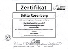Hundephysiotherapie Zertifikat